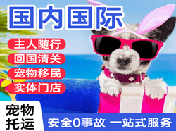 怀化芷江航空货运国际宠物托运 【国